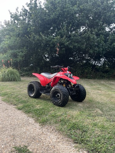 Quadzilla r100 quad bike very - quadzilla,