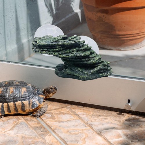 Turtle basking platform baby - turtle, platform,