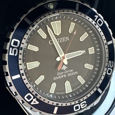 Citizen Eco-Drive Promaster