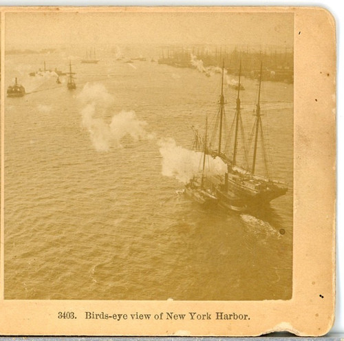 New york birds - new, birds-eye