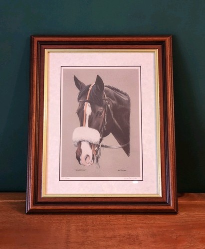 Alderbrook equine portrait - alderbrook,