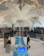 Premium Package Ostrich Feather Centrepiece Hire Wedding Party Table Decorations