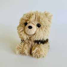 Russ Petooties Pets Yorkshire