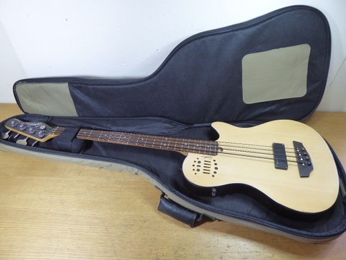 Godin ultra fretted - godin, a4