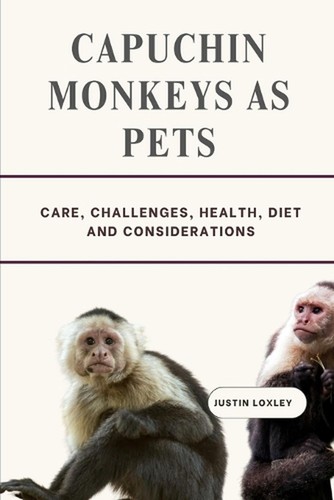 Capuchin monkeys pets - capuchin,