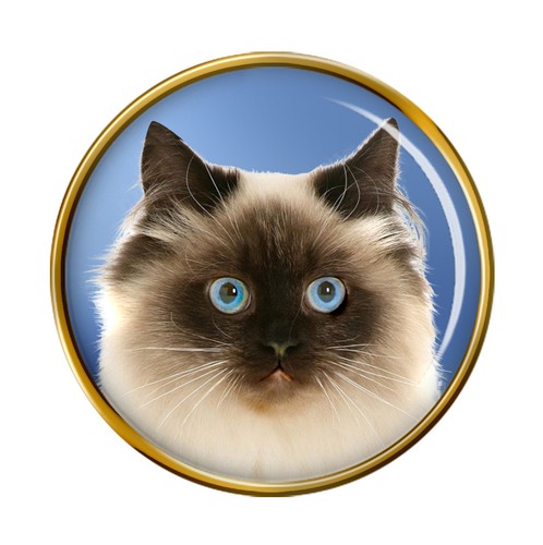 Birman cat lapel pin - birman, badge