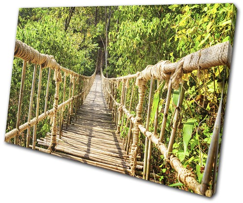 Bamboo rope bridge - bamboo, forest