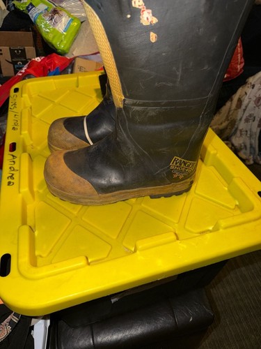 Ranger shoe fit - ranger, shoe-fit