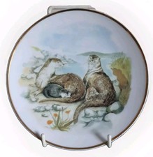 WILDLIFE OF  BRITAIN OTTER