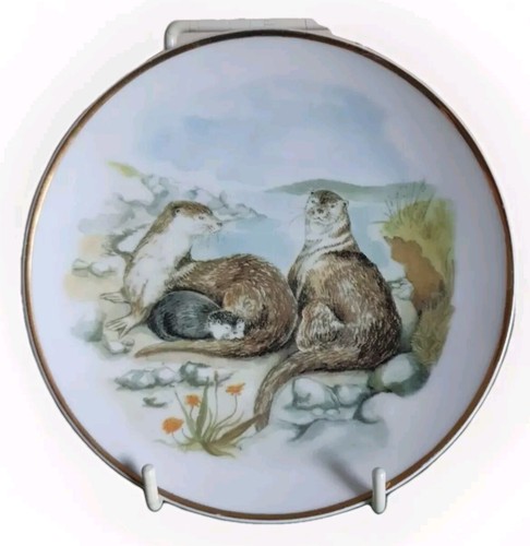 Wildlife britain otter - wildlife,