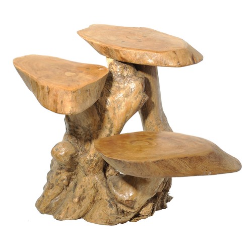Teak root side table - side, plant