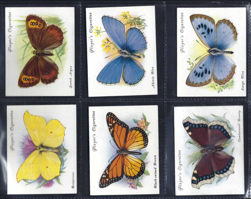 Player british butterflies - -,