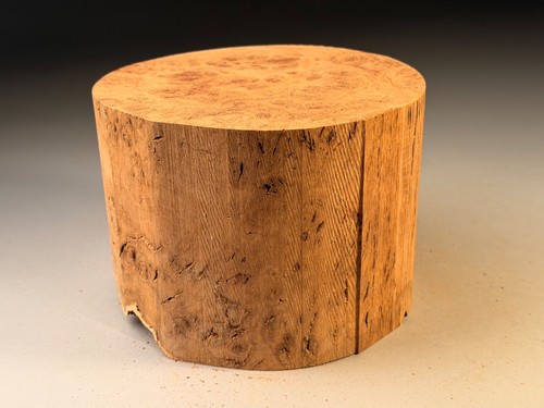 Amazing large burr - large, oak
