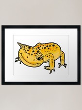 Winky Leopard Gecko Framed Art