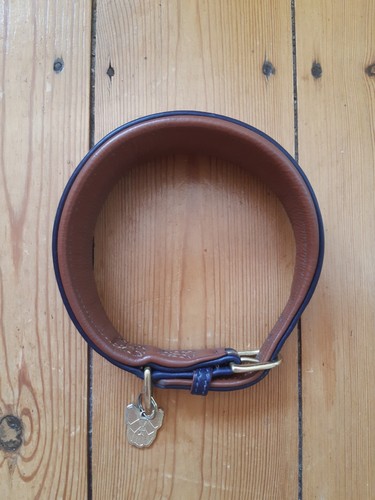 Greyhound lurcher collar - greyhound/lurcher,