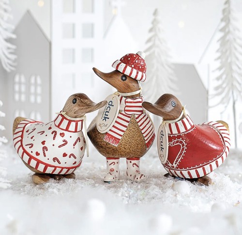 Dcuk christmas candy cane - christmas,