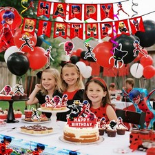 Miraculous Ladybug Party