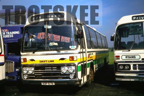 35mm slide badgerline - 35mm,