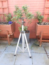 Telescopic Stand