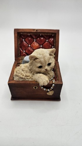 Country artists kitten tales - country,