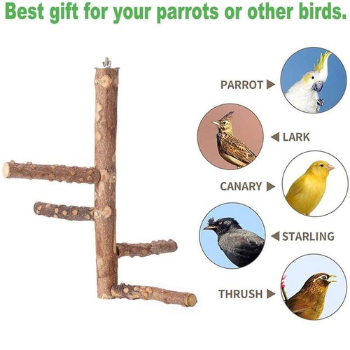Wooden parrot bird - stand, tree