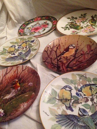Birds display plates china - x, 6