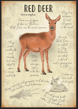 Red Deer metal sign greenhouse