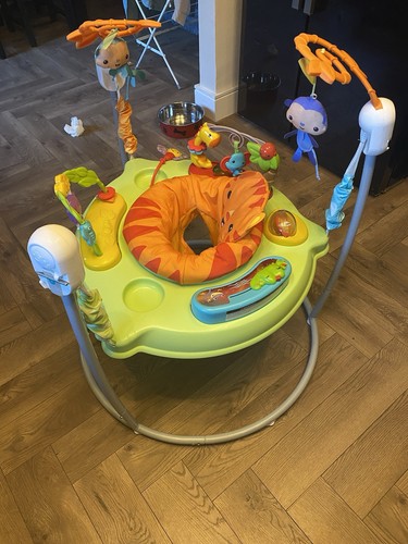 Fisher price jumperoo - fisher-price,