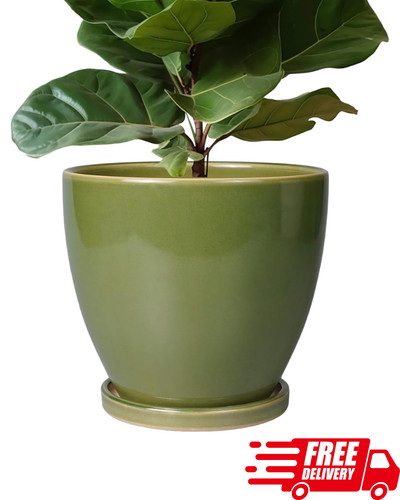 Inch ceramic plant - 10,