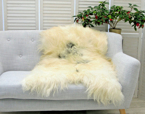 Cream black icelandic - cream,