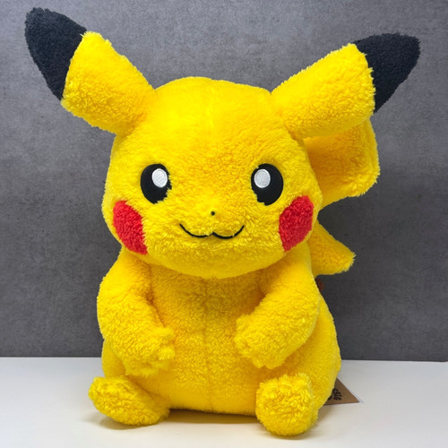 Official pokemon center 2025 - official,