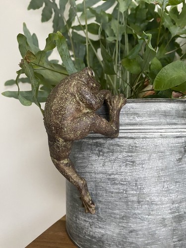 Frog pot hanger climbing - frog,