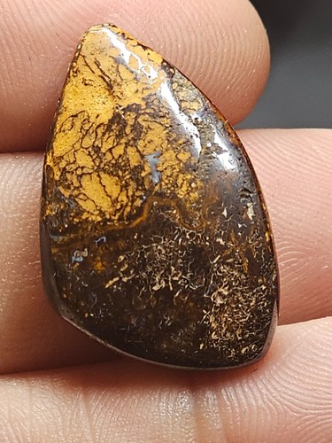 3cts queensland boulder - ,