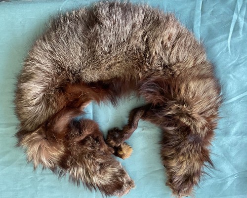 Vintage dark brown fur wrap - dark,