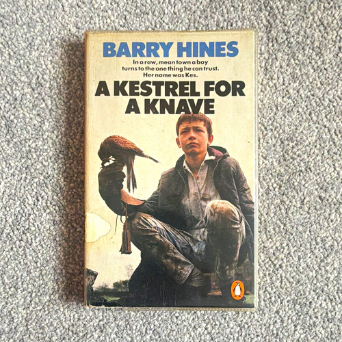 Barry hines kestrel - kestrel, for