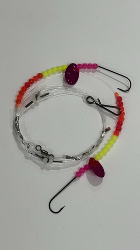 Reel rigs coastal - reel,