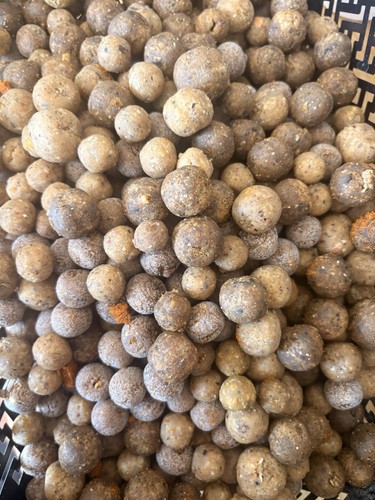 1kg mixed damaged boilies - damaged,