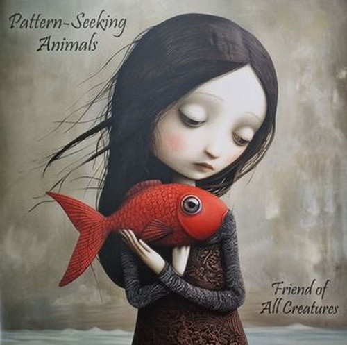 Pattern seeking animals - pattern,