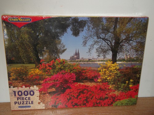 Cologne cathedral 1000 piece - cologne,