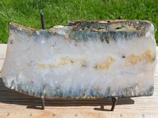 TCR Sage Plume Agate*Polished