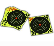 25 Splatter Target 12"  200mm
