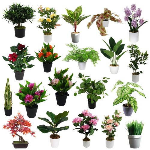 Artificial realistic plants - realistic,
