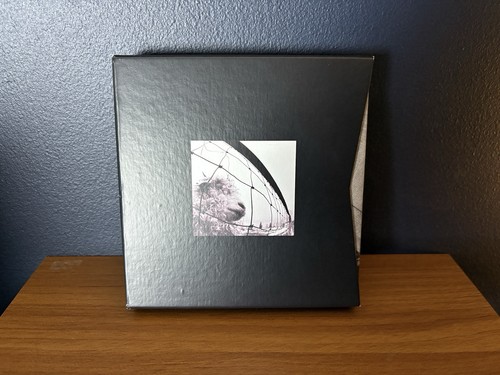 Pearl jam vitalogy - /,