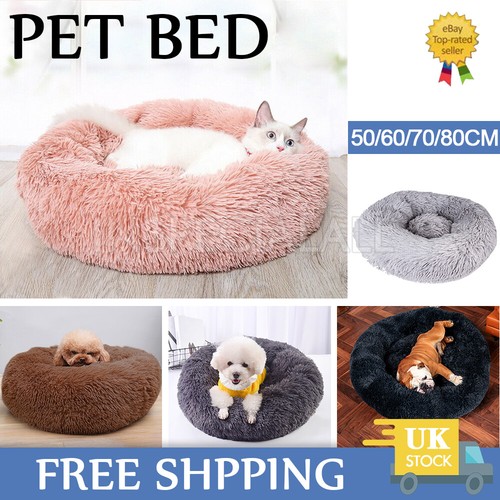 Warm pet calming - pet,