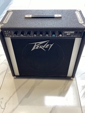 Peavey Encore 65 with WGS ET65