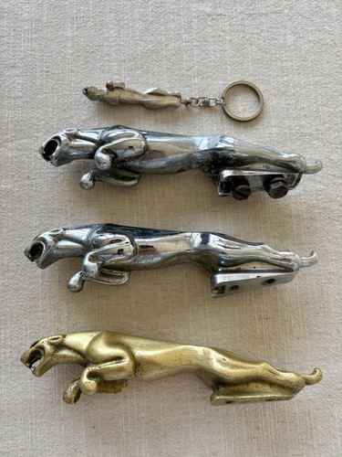 Vintage jaguar leaper hood - jaguar,