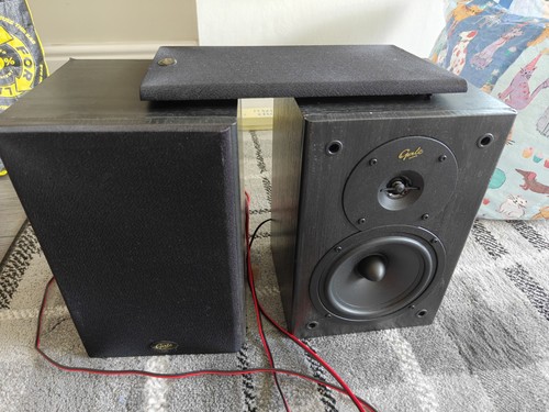 Gale silver monitor - monitor, black