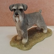 Sherratt& Simpson." Miniature Schnauzer- Standing". No55134.