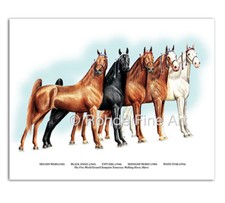 TENNESSEE WALKING HORSE ART