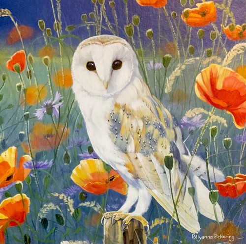 Owl poppies blank greeting - owl,